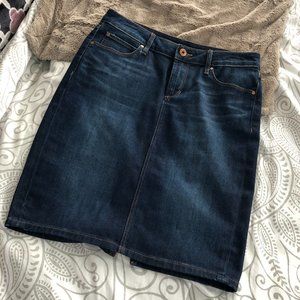 Articles of Society blue denim skirt - jean skirt